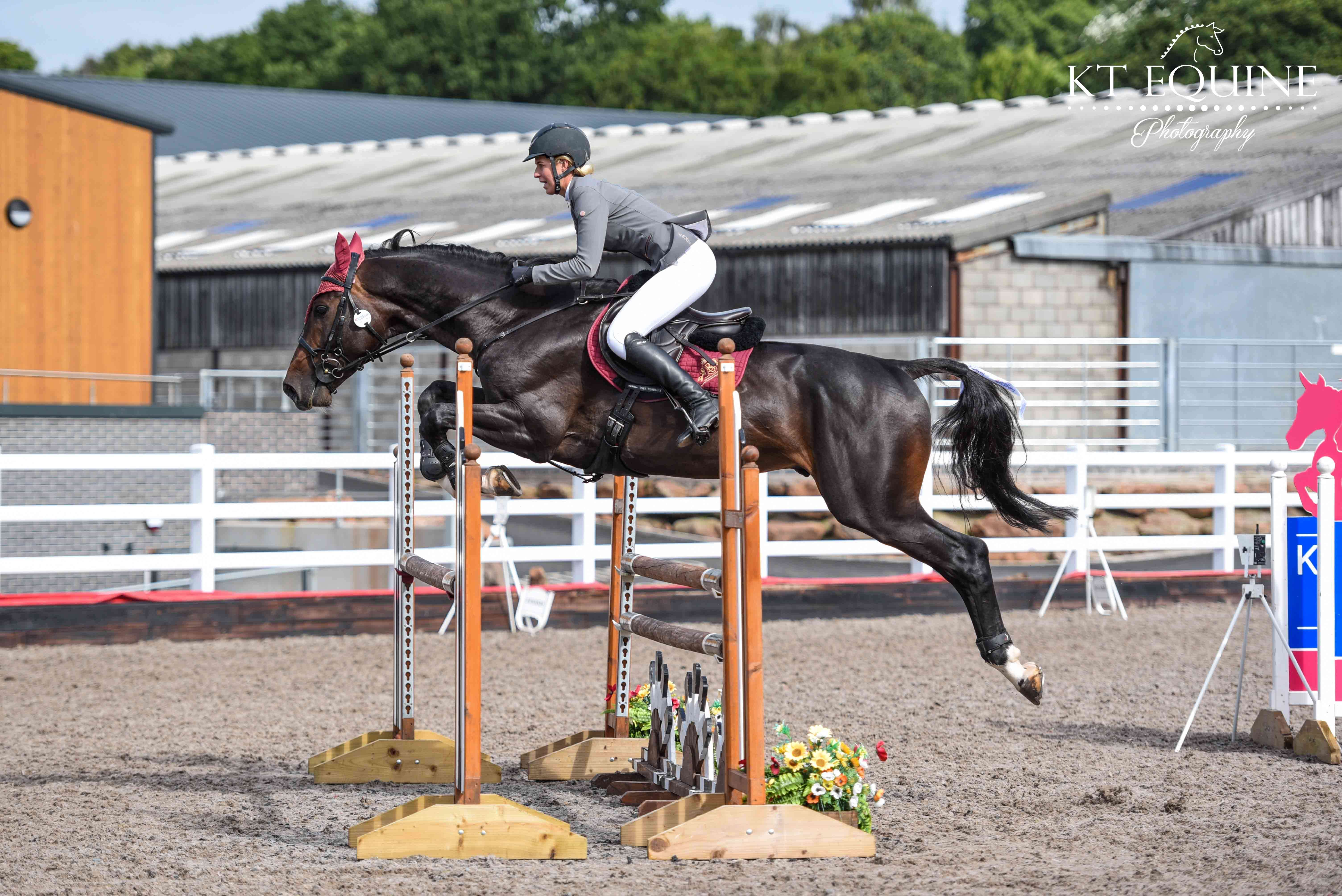 Hackett Van't  Lozerhof Z Stallion